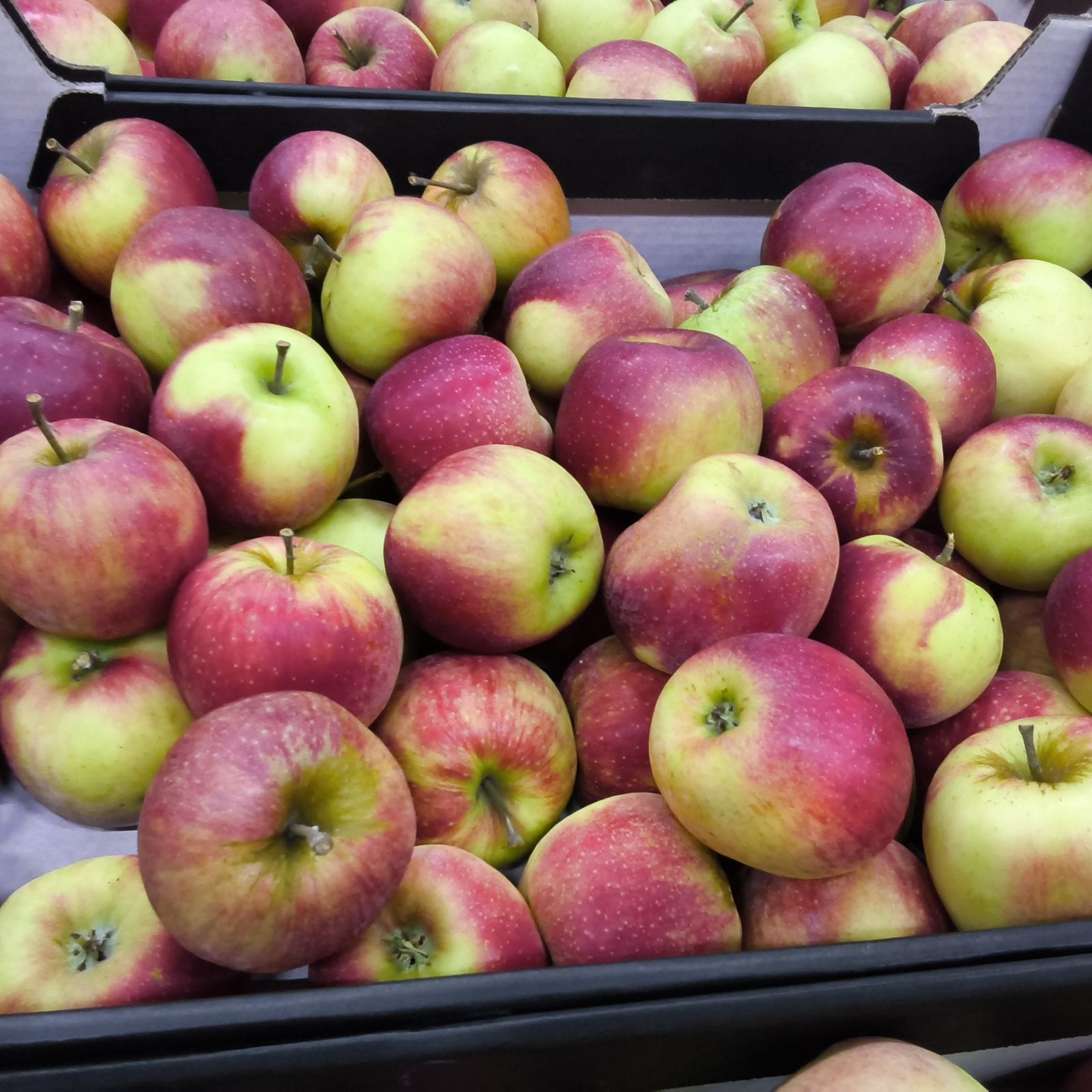Kraten vol roodgroene appels in een winkel