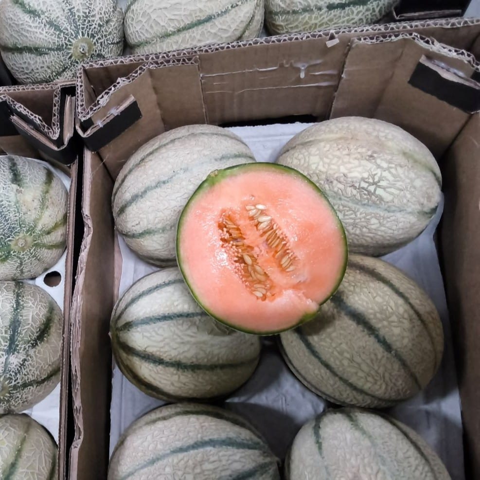 Doos met cantaloupes, één doorgesneden