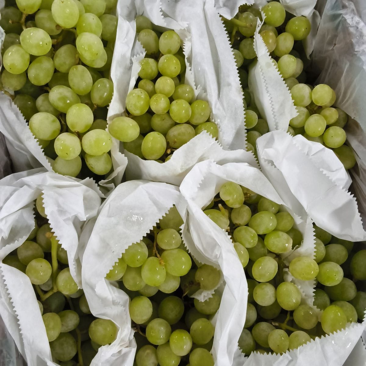 Groene druiven in witte papieren zakken