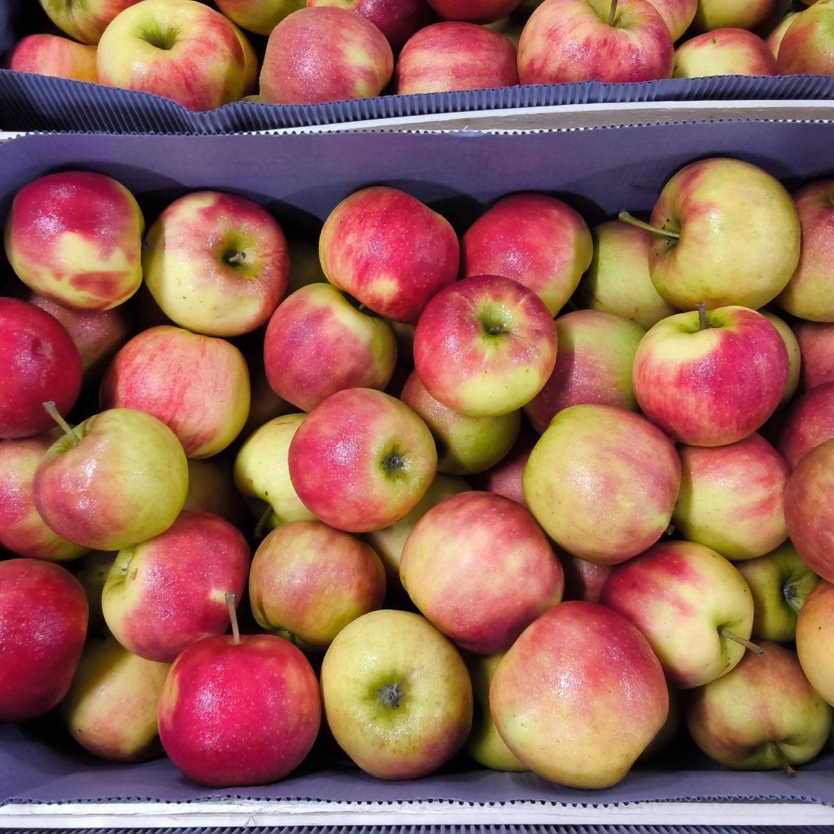 Krat met rood-groene appels van bovenaf