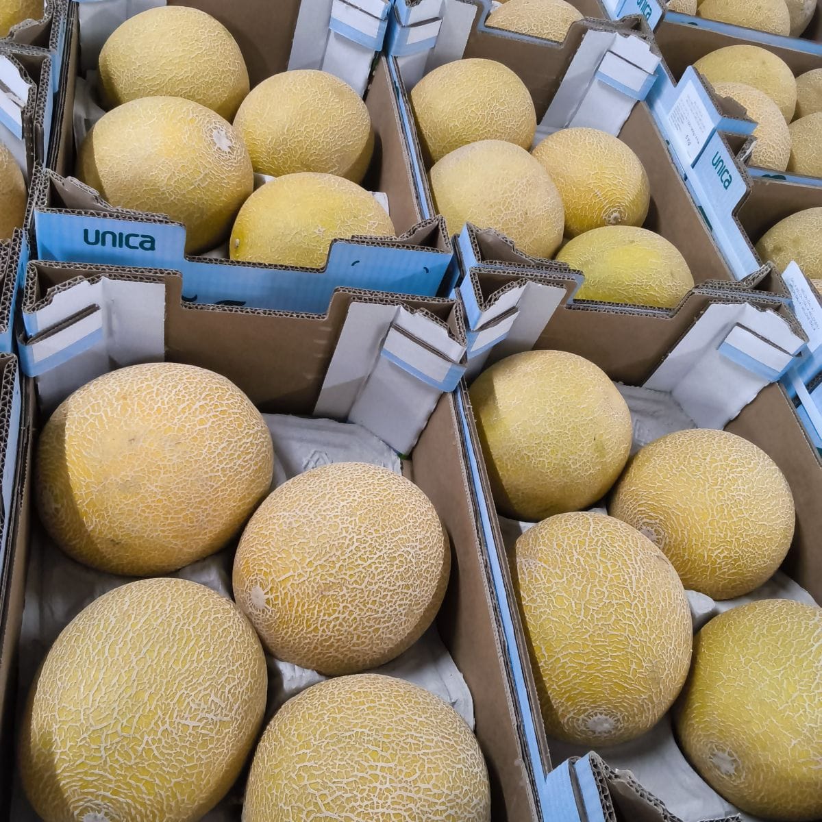 Dozen met gele meloenen in kartonnen kratten