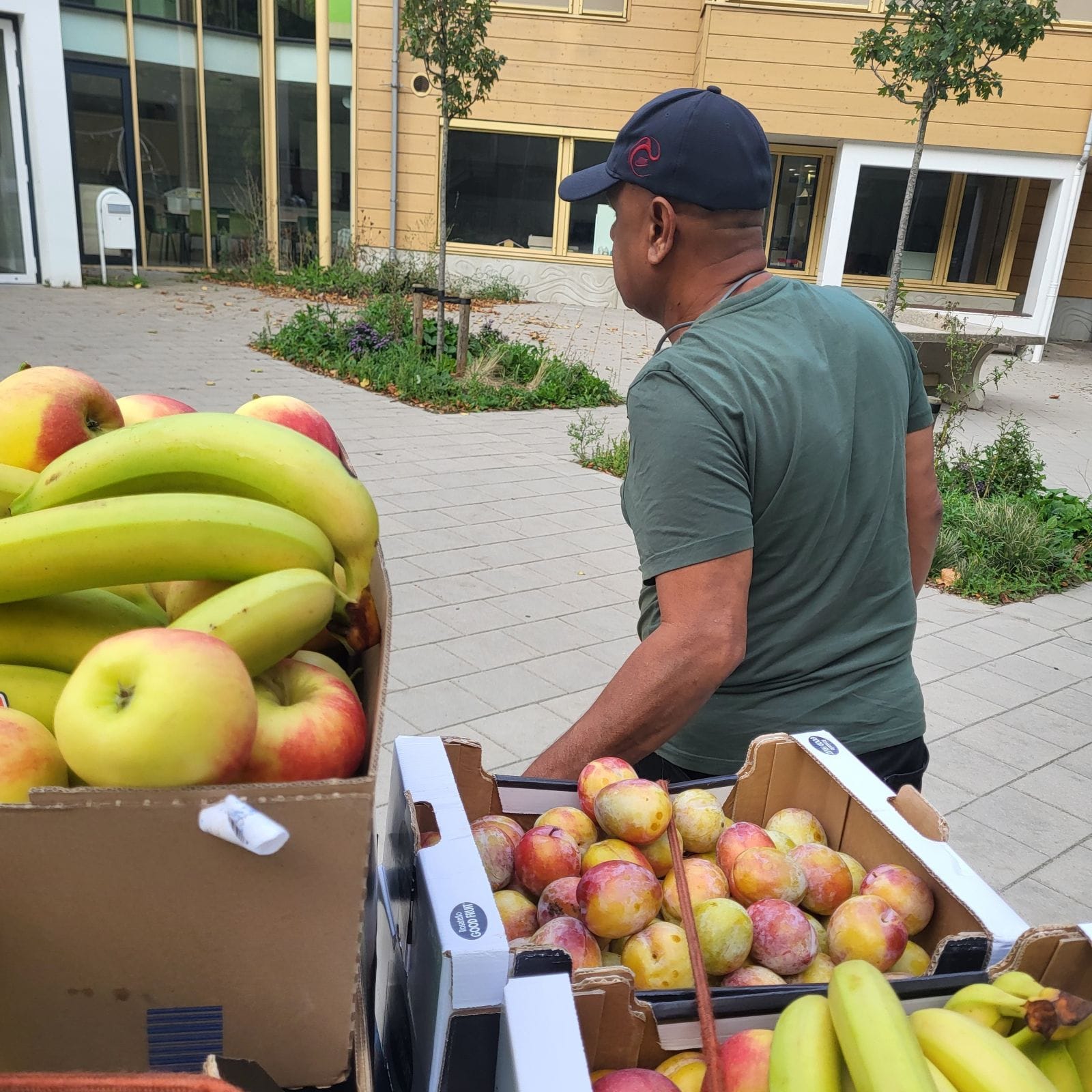 Man bij kratten met bananen, appels en pruimen