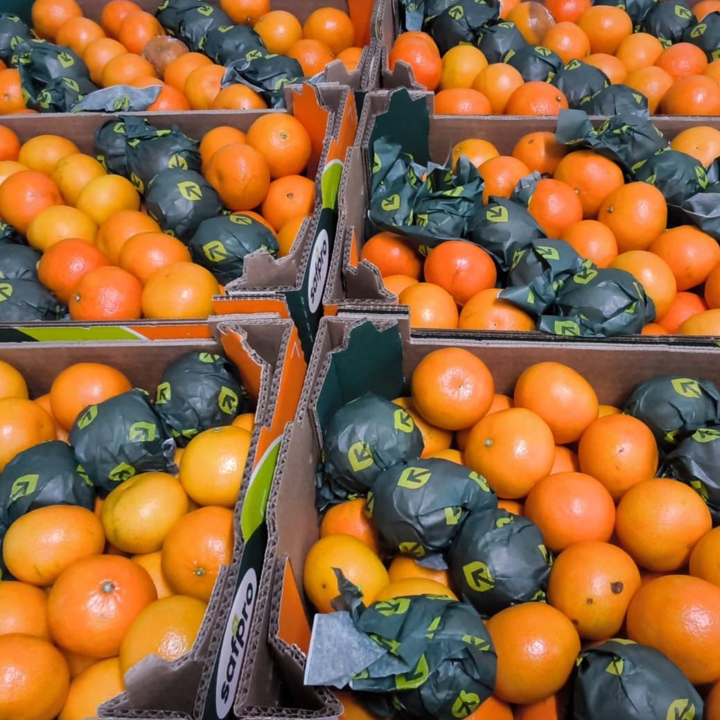 Kratten met sinaasappels in supermarkt