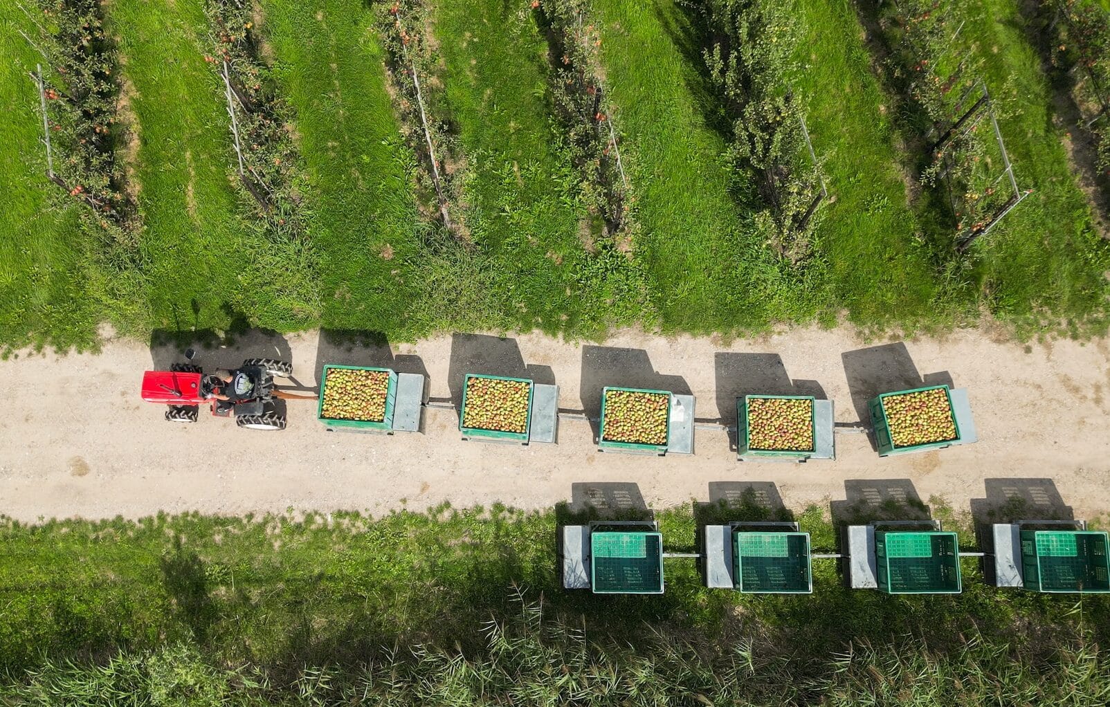 perenoogst drone 3