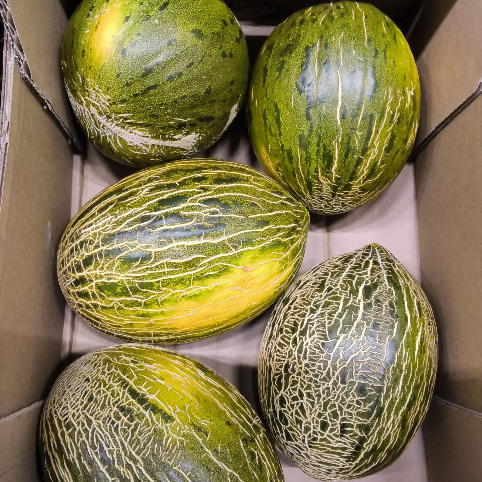 Vijf groene meloenen in een kartonnen doos
