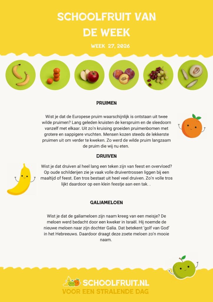 Poster schoolfruit week 27 met diverse fruitsoorten